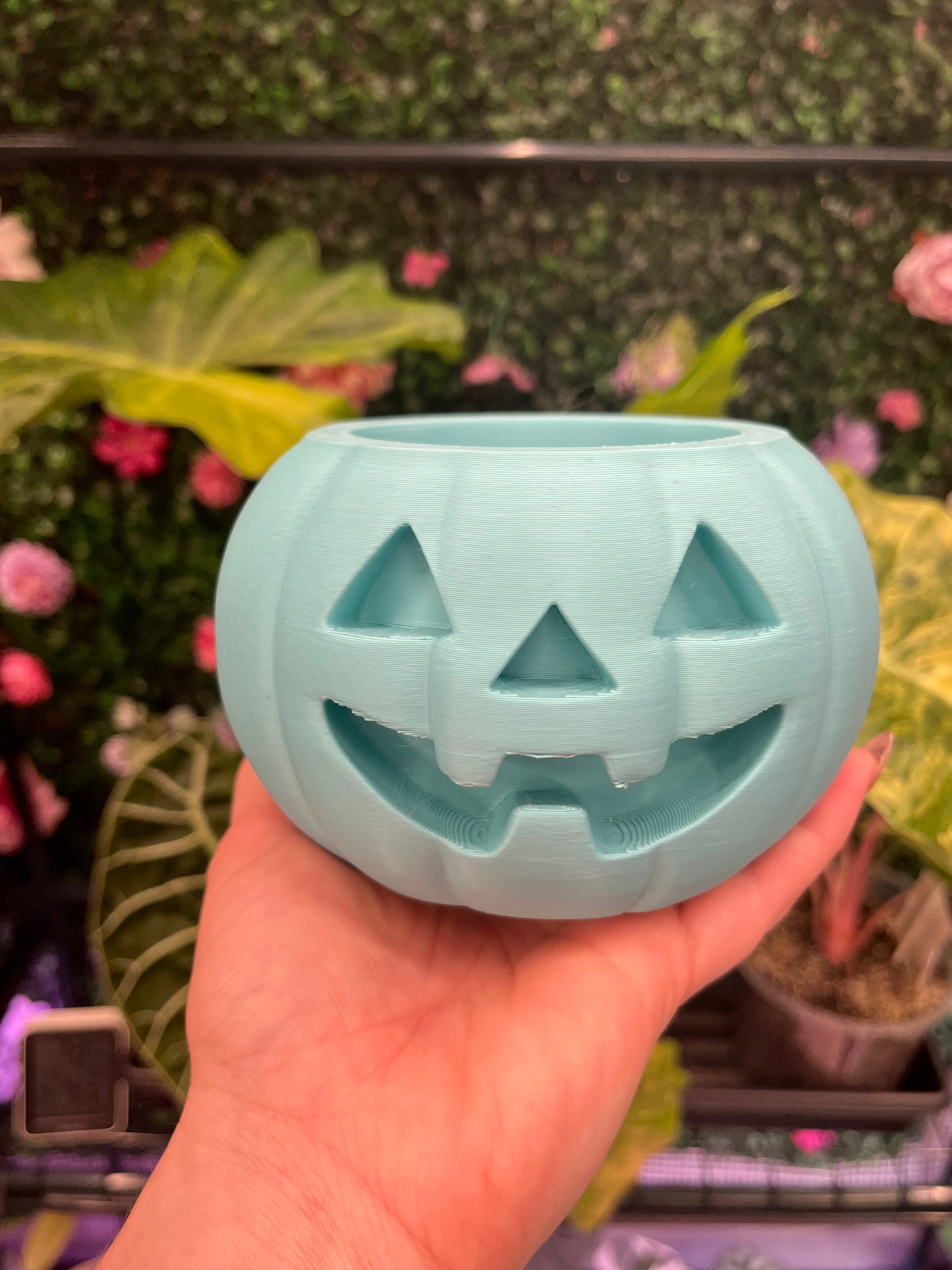 Teal 3" Jackoweens Pots