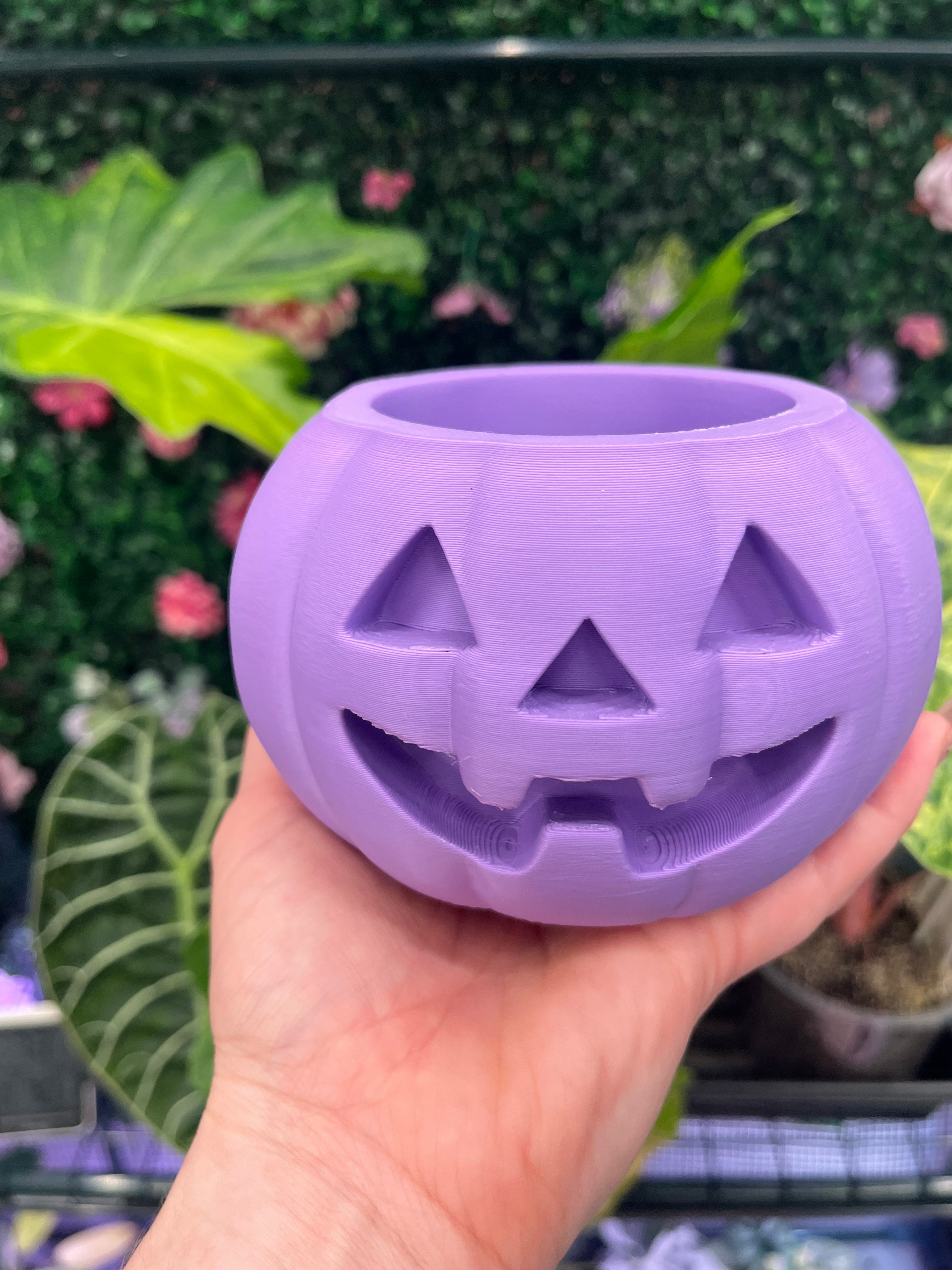 Purple Jackoweens Pots