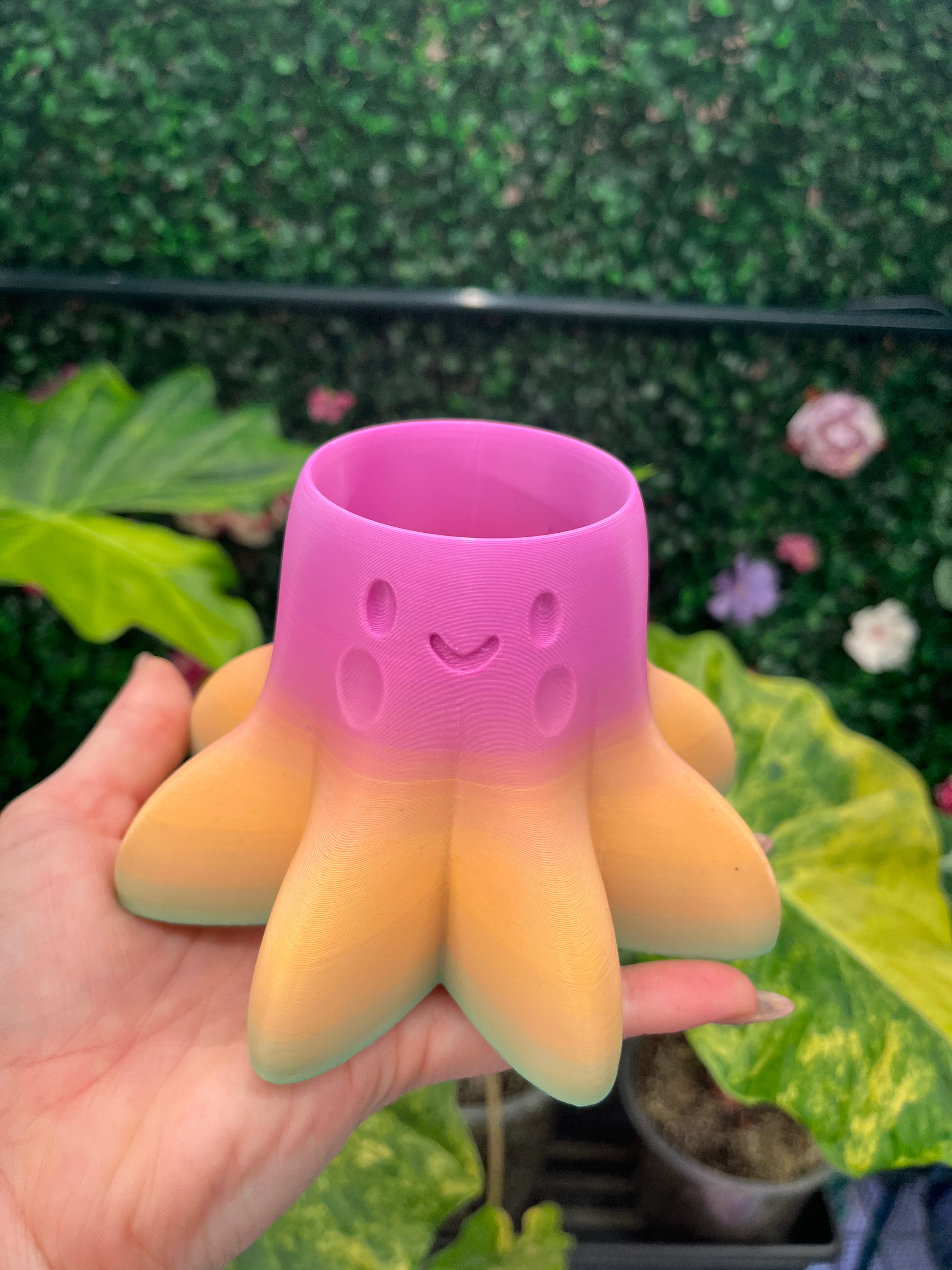 2" Octopus Pot