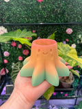 2" Octopus Pot