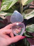A hand with pink nail polish holds an open, clear plastic heart-shaped keepsake box containing a small dried flower, set against a background of green variegated houseplants and a pink wall.